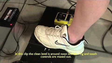 Mycelium with Expression Pedal