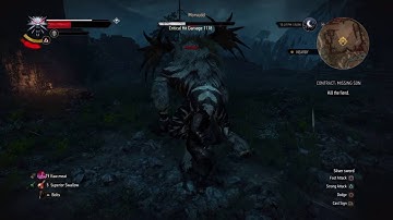 Witcher 3: Missing Son Contract