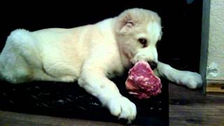 VID 20150307 223237