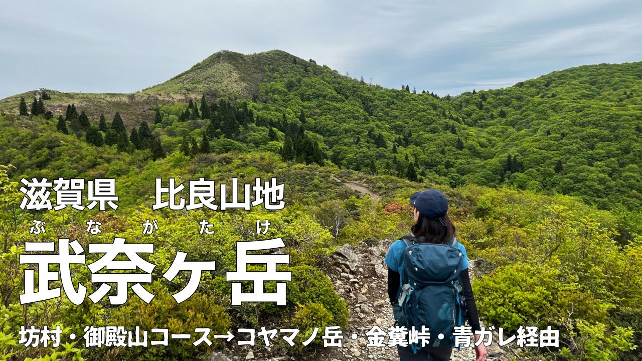 【アラフォー夫婦登山】滋賀県 比良山地　武奈ヶ岳（ぶながたけ）〜美しい稜線と新緑のブナ林〜【坊村・御殿山コース】