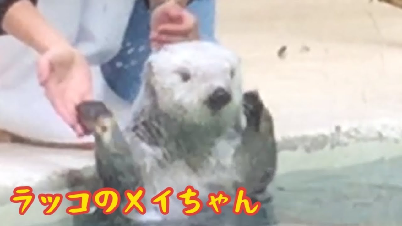 Lix5kwrllifi M