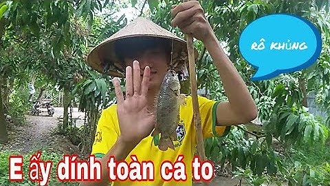 CÂU CÁ Ở MƯƠNG LÁNG, DÍNH CÁ RÔ BỰ TRÀ BÁ // He is very good at fishing