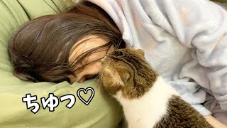 寝ているママに猫がキスをした結果…w