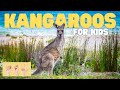 ASL Kangaroos for Kids