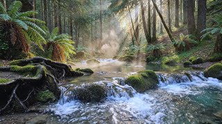 Calm Flowing River with Distant Bird Calls | Soft Ambience for Sleep & Setting a Peaceful Night Mood