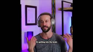 Psilocybin Shatters Brain Networks: Beyond the Default Mode