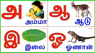 Uyir Ezhuthukal | Learn Tamil Alphabets\/  உயிர் எழுத்துக்கள்\/prinit