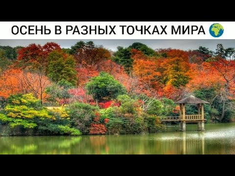 ОСЕНЬ В РАЗНЫХ ТОЧКАХ МИРА, КРАСОТА ОСЕНИ В МИРЕ, ВИДЕО ПРО ОСЕНЬ, ОСЕННЯЯ ПРИРОДА