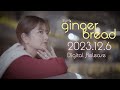 Miyuu「gingerbread」 Music Video Teaser 2