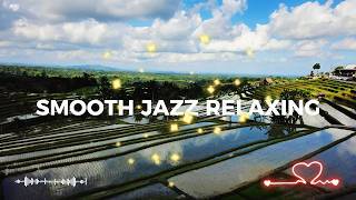 Smooth Jazz & Soul R&B instrumental – Warm Sounds for Gentle Relaxing Moments -JAZZ MUSIC