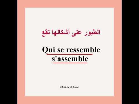 كيف نقول الطيور على أشكالها تقع