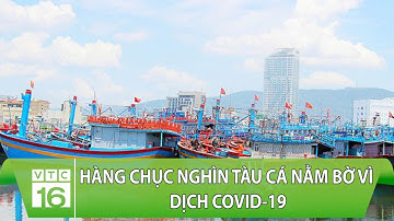Hàng chục nghìn tàu cá nằm bờ vì dịch Covid-19, ngành thủy sản thiệt hại nặng nề | VTC16
