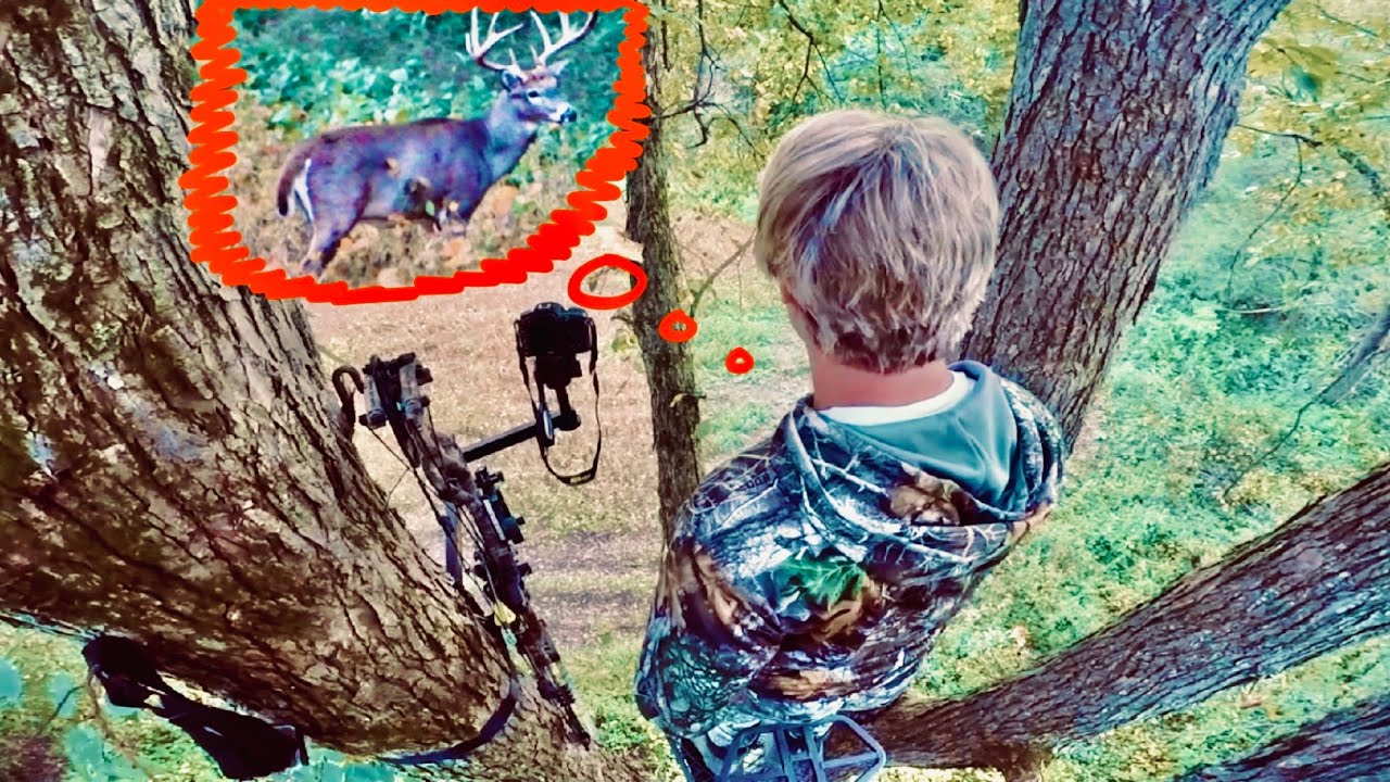 2023 WISCONSIN ARCHERY DEER HUNTING BIG BUCK ENCOUNTER YouTube