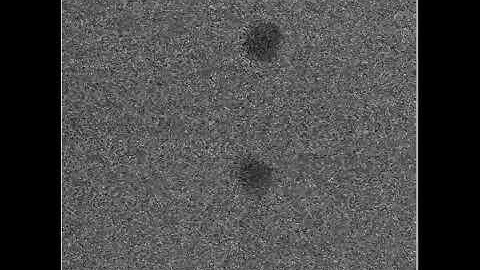 New imaging technique peers inside living cells