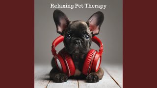 Pet Amazing Therapy