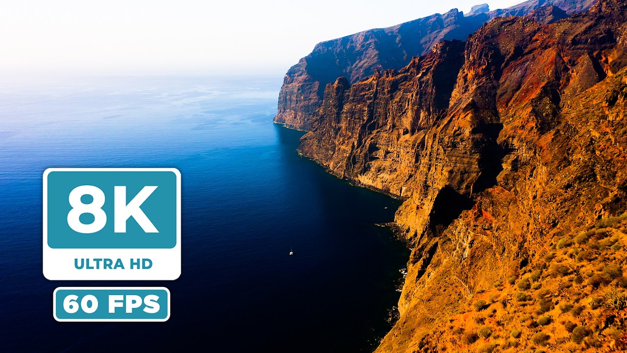 1 ЧАС Прекрасной Природы в 8K 60FPS 🌿 Расслабляющая Музыка и Потрясающая Дикая Природа