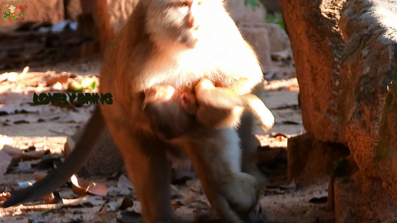 MILLION SAD MOM BRIANNA STILL BRING HER BABY BARON NON RELEASE ...LOVELY MOM BRIANNA TO BARON |