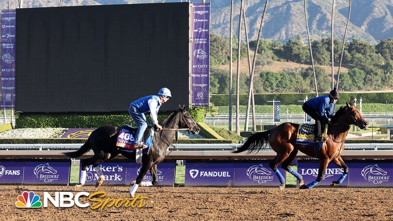 2023 Breeders' Cup Classic predictions, odds, post time, top ...
