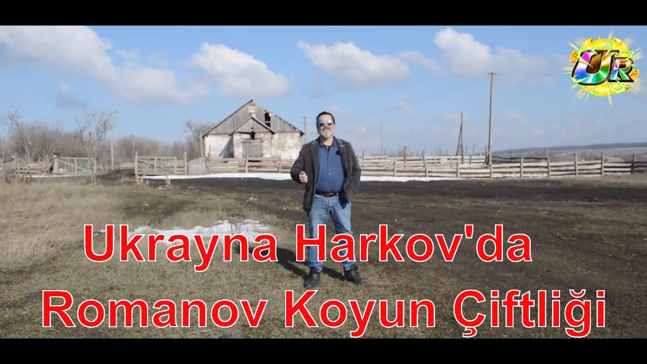 Ukrayna Harkov'da Romanov Koyun Çiftliği-Kuzu makinaları