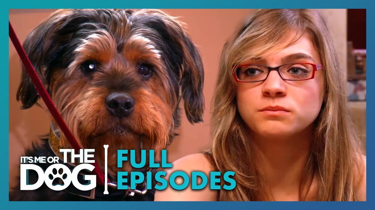 The Family Held Prisoner by Their Own Dogs | Season 3 Episode 12 | It's Me Or The Dog US