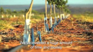 Farmsecure - Maswiri Fruit Farm Success Story
