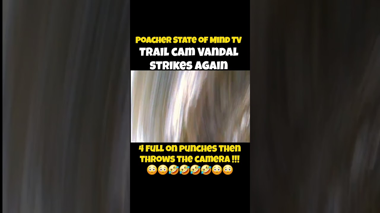 Вандалы, использующие фотоловушки!! 