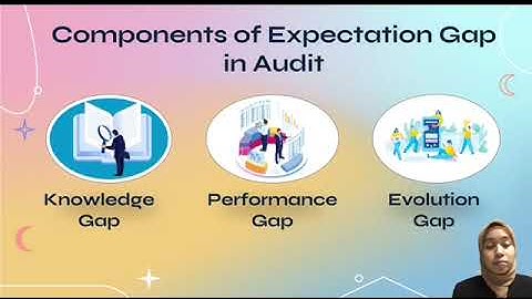 EXPECTATION GAP IN AUDIT