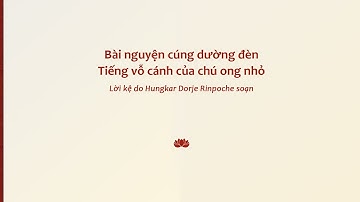 Bài nguyện cúng dường đèn: Tiếng vỗ cánh của chú ong nhỏ