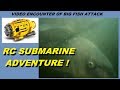 RC Submarine Adventure, Filming large fish