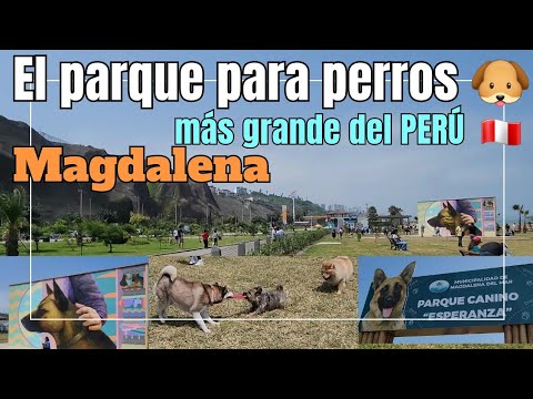 El parque para perros 🐶 MÁS grande del Perú 🇵🇪 