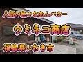 人気の色々なあんバター「ウミネコ商店」福島県いわき市 4K