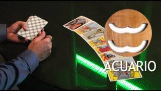Acuario - Predicciones 2013