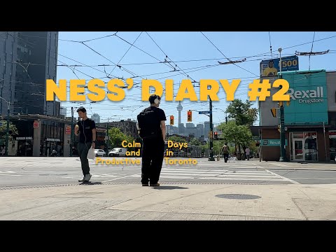 Calm and Productive Days in Toronto | groceries, cooking, working at a cafe' — Ness' Diary #2