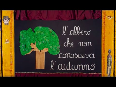 Video: La quercia rossa è un albero luminoso