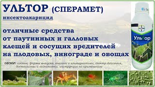 видео: Ультор и Сперамет - отличные средства от клещей и сосущих вредителей на плодовых, винограде и овощах картинка: Ультор и Сперамет - отличные средства от клещей и сосущих вредителей на плодовых, винограде и овощах