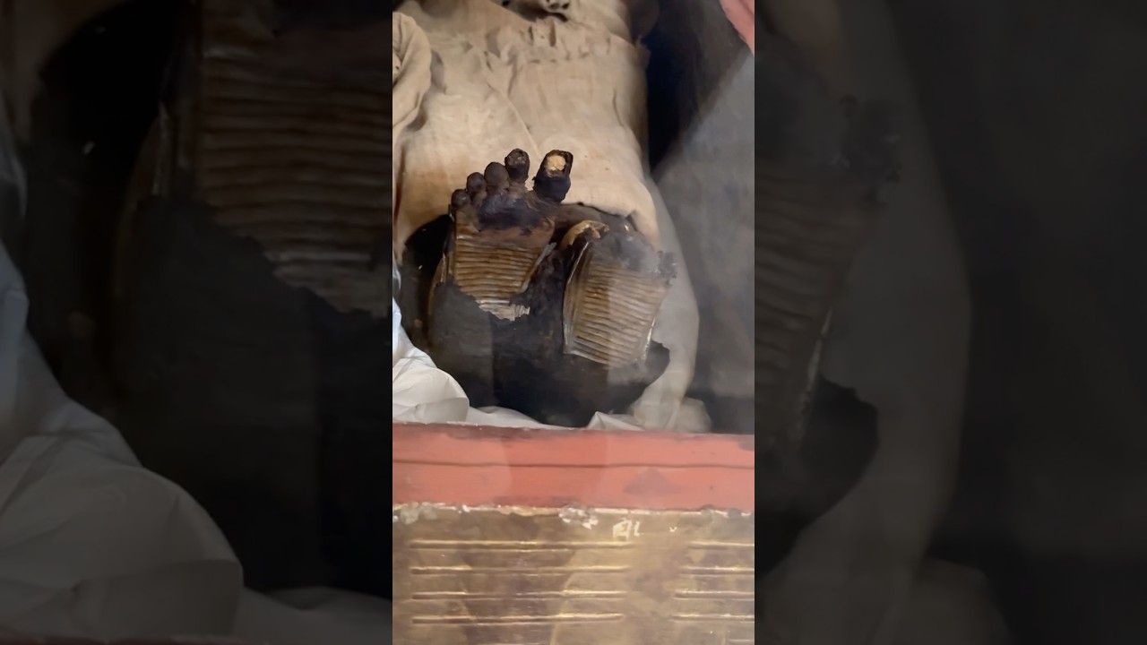 📸 The Mummy of the Woman Wearing Golden Sandals in the Egyptian Museum – Who Was She? 