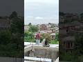 Ini namanya nukang with the view