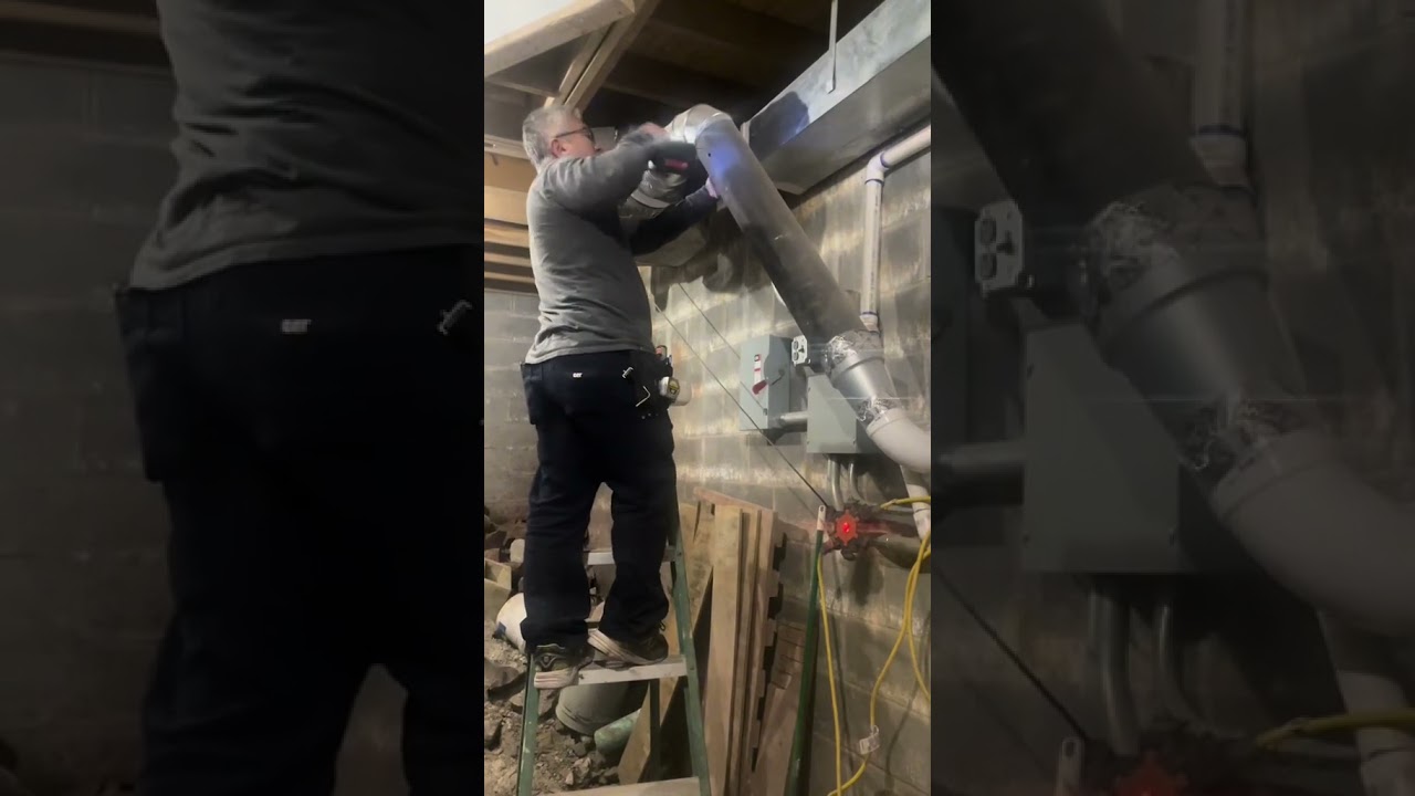 The best laid plans of mice and Kala 