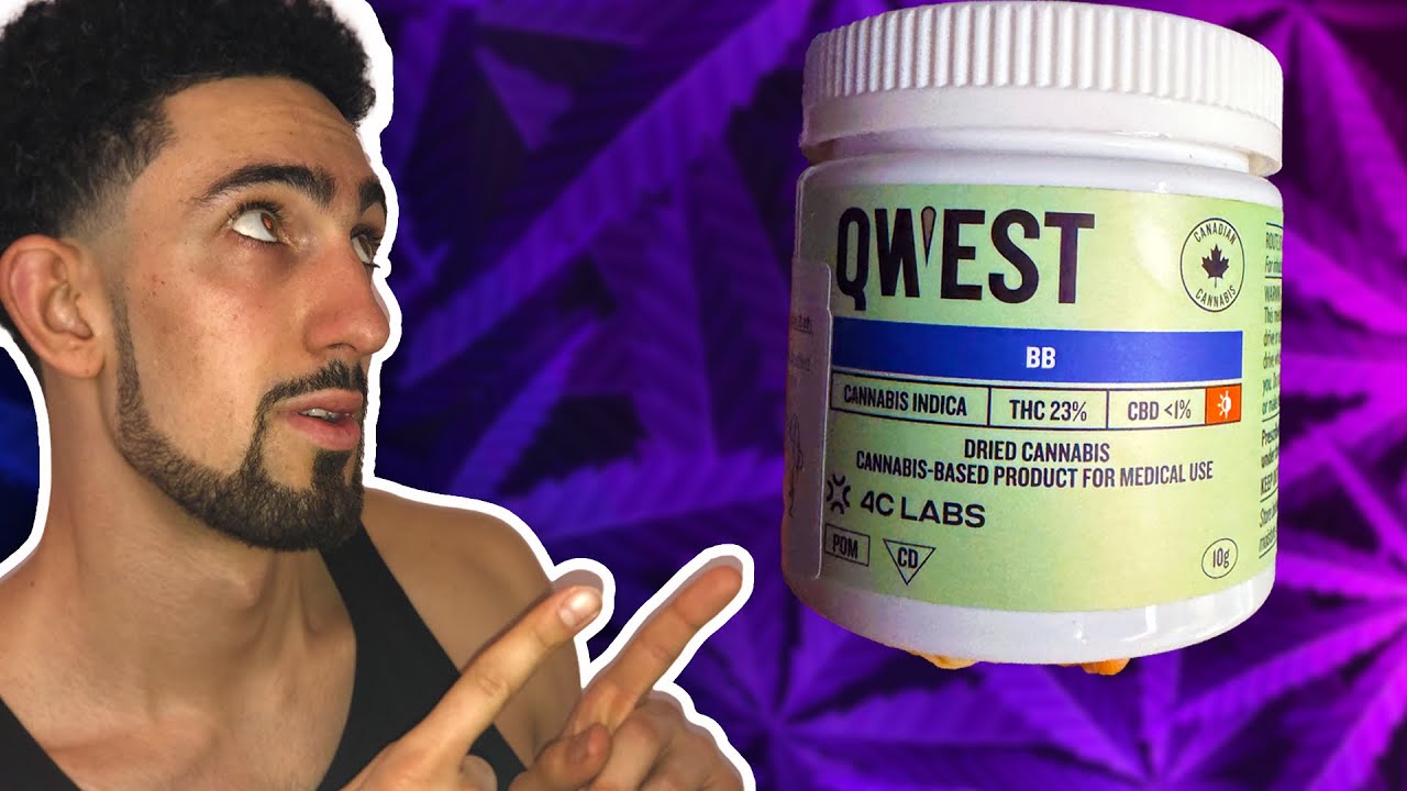 QWEST Bubble Bath Strain Review (UK Medical) - YouTube