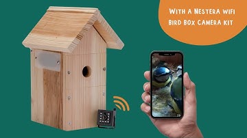 Nestera WiFi Bird Box camera system - quick presentation