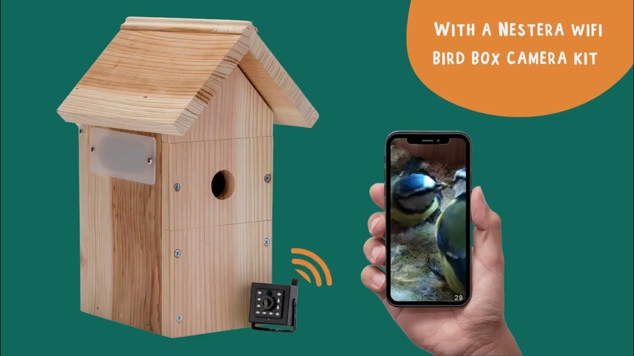 Nestera WiFi Bird Box camera system quick presentation YouTube