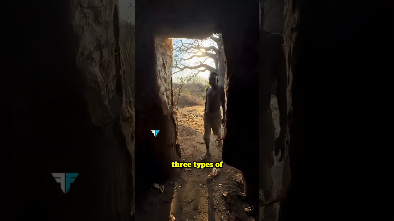 Когда слишком долгое пребывание на природе меняет всё 