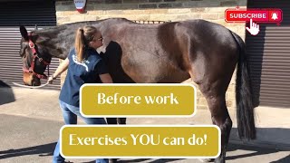 Horse Before Work exercise