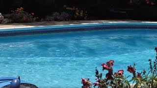 Pool companies in the Ozarks will soon get busy closing pools
