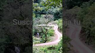 Libertador General San Martín jujuy