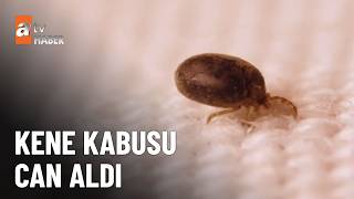 Kene kabusu yeniden can aldı - atv Haber 29 Mayıs 2026
