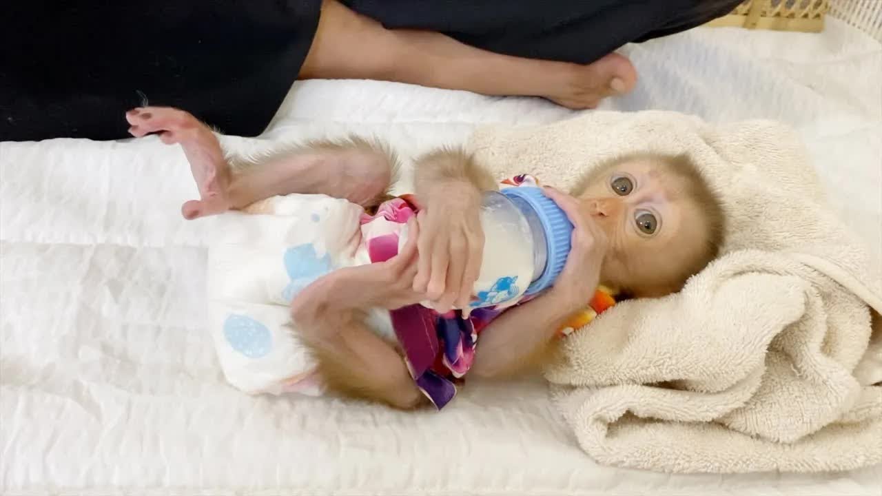 Gorgeous DAM Sleep Holding Milk Bottle Drink Himself