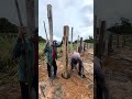 Construindo curral para gado