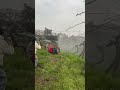 Remote-controlled tracked pesticide spraying vehicle, with more stable track movement.