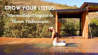 Grow Your Lotus: Intermediate Vinyasa to Bloom Padmasana